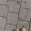 현대탠디 이미지