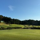 포라이즌 이미지