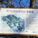 기후위기 대응을 위한 녹색생활 이미지