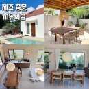 서유의섬 이미지