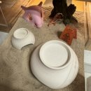 돔하우스 | 납테일게코 은신처 추천｜몽땅게코 만두 돔 하우스 실사용 후기