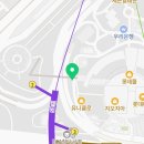 시호비젼안경콘택트 이미지