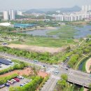 화랑유원지(중심광장) 이미지