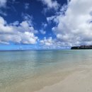 한달살기 생존영어 이미지