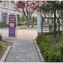 새(금호) 이미지