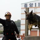 백두축산
