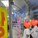 목포두꺼비