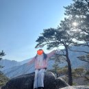 설향기념품
