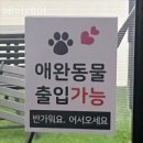 여주맛집 메이데이 후기정보