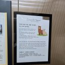 파주서울의원 | 테이블에이 파주점, 경기도 파주 주차가능한 실내동물원