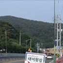 강창호물회대어횟집