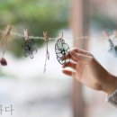 아리아아트