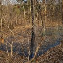 삼흥1리 마을회관 이미지