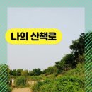 873010 이미지