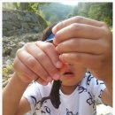 산수벨리펜션 이미지