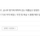 제이사려니숲길