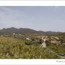 신전 이미지