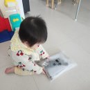 벤자민 | 돌잔치 아기정장 남아 셔츠 벤자민세트 내돈내산 후기