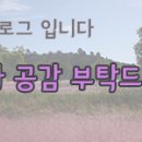 크리미 캣 네이버블로그