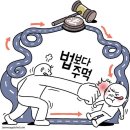무능한 공적제재로 강력한 사적제재 낳는 대한민국~! 이미지