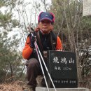 비홍산 Daum카페