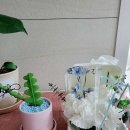 블리스플라워 - 강남구 봉은사로43길 18 | 블리스플라워