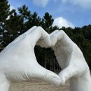 득량수산 | [전남보성] 합리적 가격, 싱싱한 횟감 “율포 회 센터 (48 득량수산)“