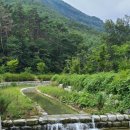 부안 애뜰 펜션 이미지