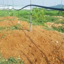 상배농장 이미지