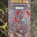 제주 화순곶자왈 생태탐방숲길 11월 단풍 코스 정보 소요시간