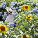 정윤미 농장 뉴스1