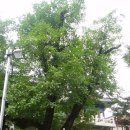 광덕사 일대 이미지