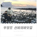 바닷길 | 충남 보령 아이들과 가볼만한곳, 무창포 신비의바닷길 축제 다녀온 후기
