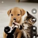 #️⃣망상증 이미지