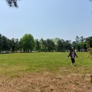 신록성장