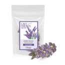 라벤더프렌즈 이미지