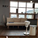 온천남자경로당 | 제주 서귀포 텐동 현지인 맛집 카오루