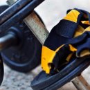 지와이 피티 이미지