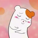 크캣레이디 - 서구 남선로9번길 13 | 크캣레이디