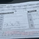 루마썬팅오토칼라 이미지