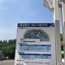 국수나무청주