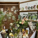 해피키키(HAPPYKiKi) 이미지