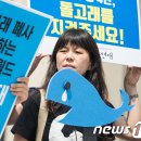 씨월드코리아㈜ 이미지