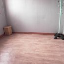 신세계 민박 이미지