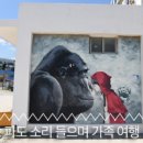 나드리 펜션 | 경주 가볼 만한 곳 / 가을 가족 여행 :: 주상절리 파도소리길, 읍천항 벽화마을