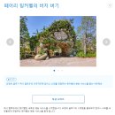 디&씨 | [일본 도쿄] 도쿄 디즈니씨 어트랙션 후기 | 라푼젤 7월 운휴, 타워 오브 테러, 센터 오브 디 어스