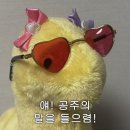 경주고기