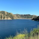 피 엘에이 이미지