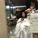 서진헤어샵