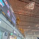 다우식당 | 중국북경수도 국제공항 너무나 맛있는 북경국제공항 식당 후기